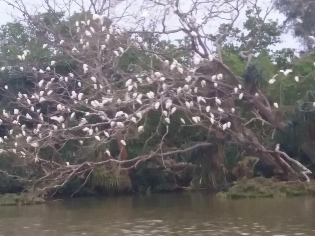 Amawin Resort Hambantota Eksteriør bilde